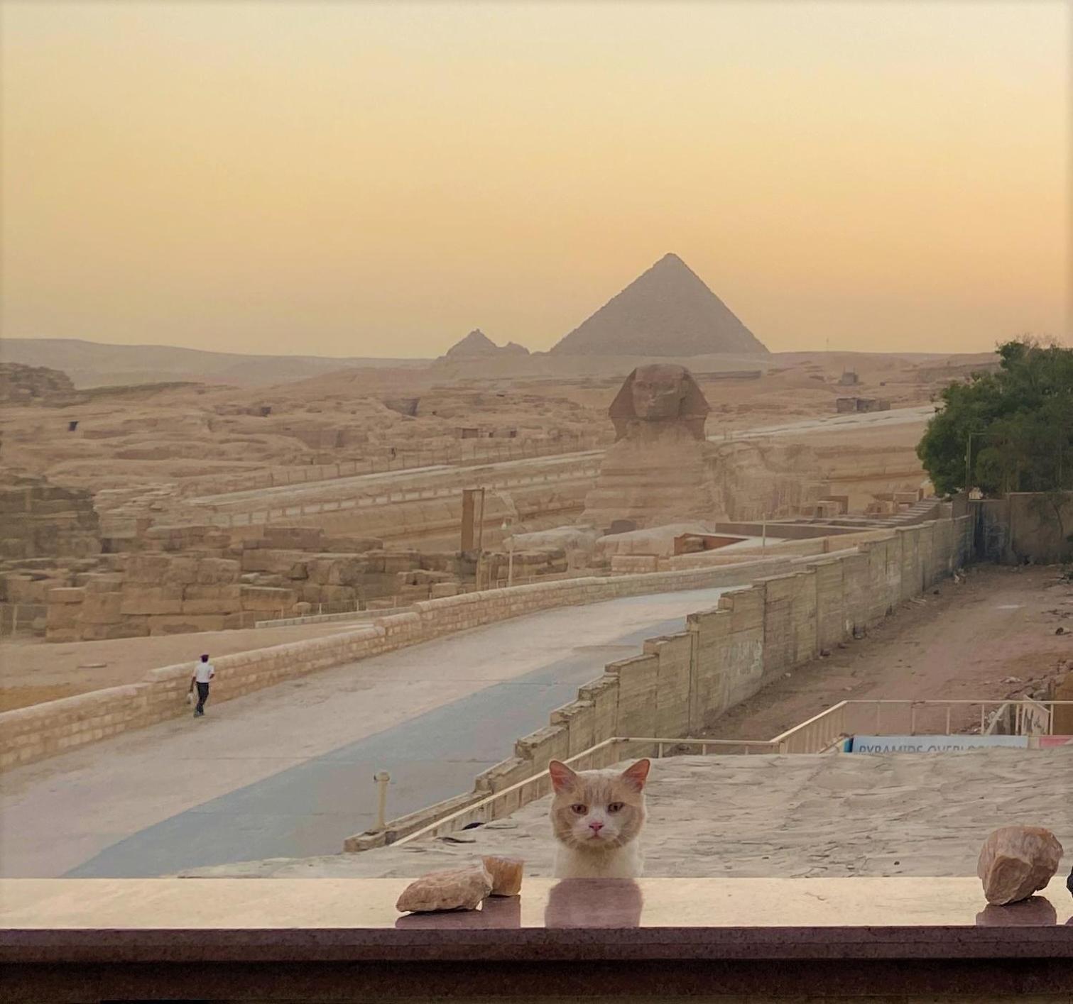 Seven Pyramids Panoramic View Inn Kafret el-Gabal Zewnętrze zdjęcie